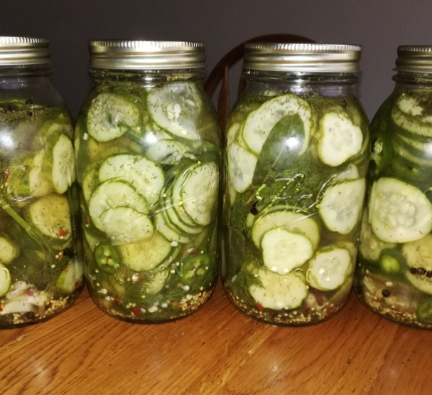 how to pickle cucumbers