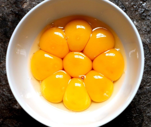 egg yolk uses