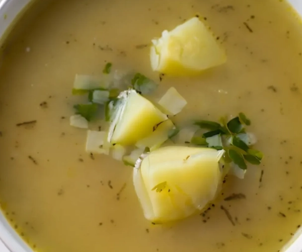 creamy vegan leek soup