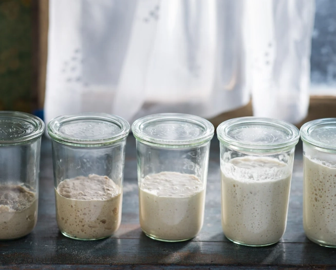 sourdough starter recipe