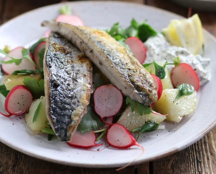 healthy mackerel recipes