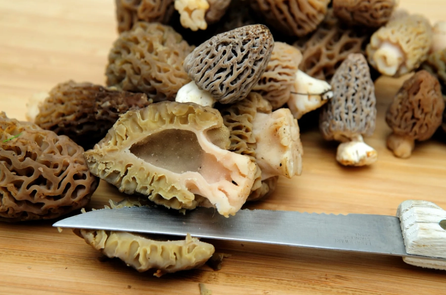morel cooking methods