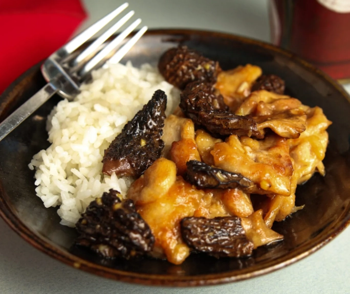 Ultimate Morel Mushroom Recipes: A Forager's Guide to Cooking & Preserving