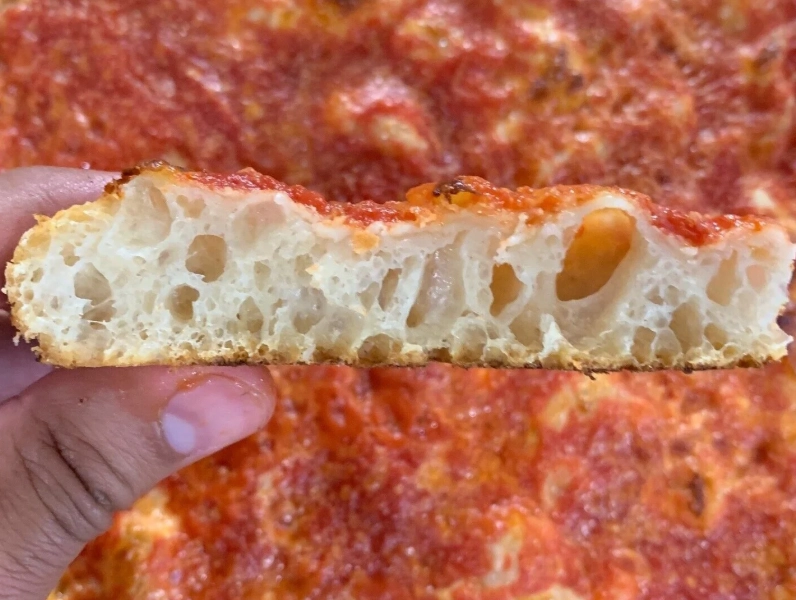 homemade pizza dough