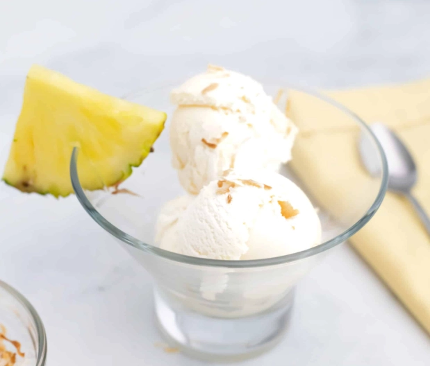 coconut ice cream recipe
