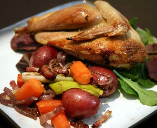 roast pheasant roast pheasant