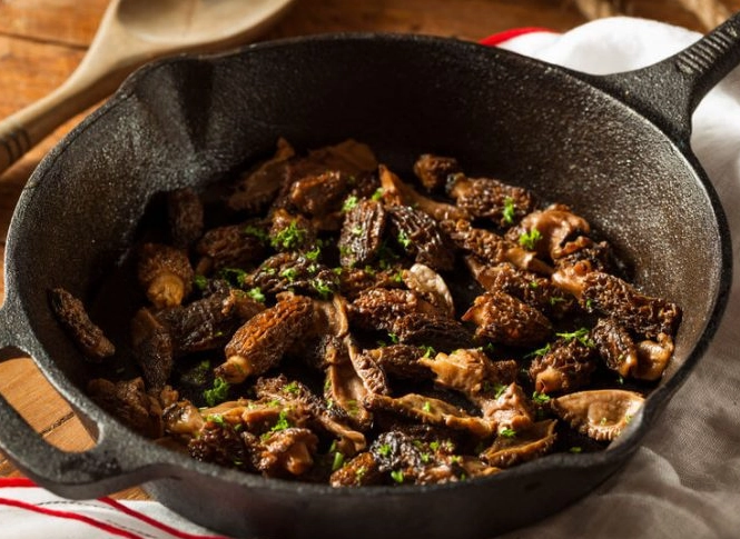 morel mushroom recipes
