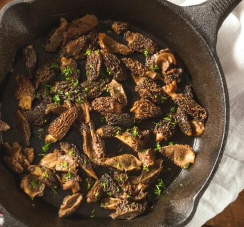 morel mushroom recipe