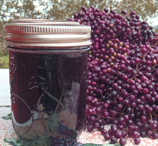 elderberry jelly without pectin