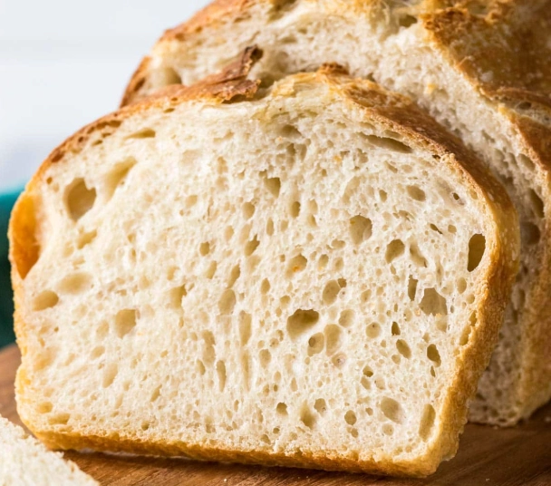 sourdough starter sourdough starter